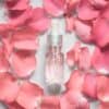 DIY Makeup Remover Without Oil